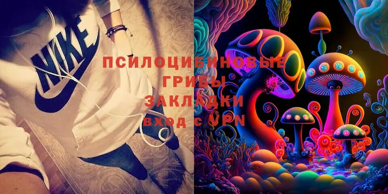 Псилоцибиновые грибы Cubensis  даркнет как зайти  Екатеринбург 